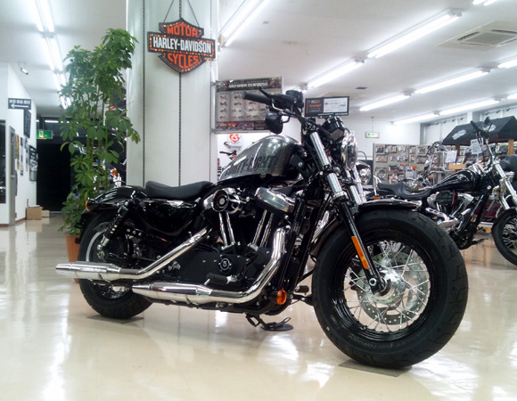 2014MODEL XL1200X 48