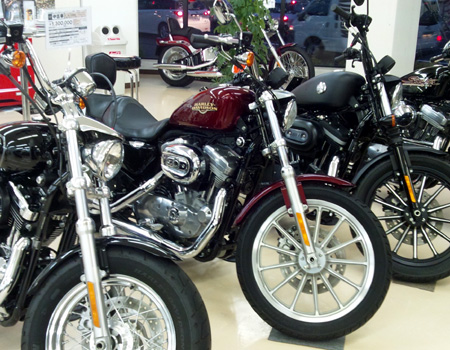 中古車 2008年モデル XL883L