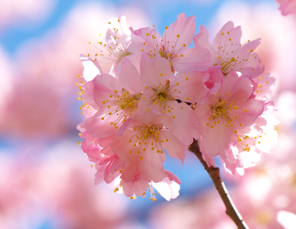 20140307no8