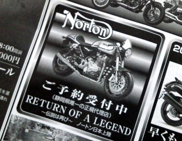 ノートン　ご予約受付中！