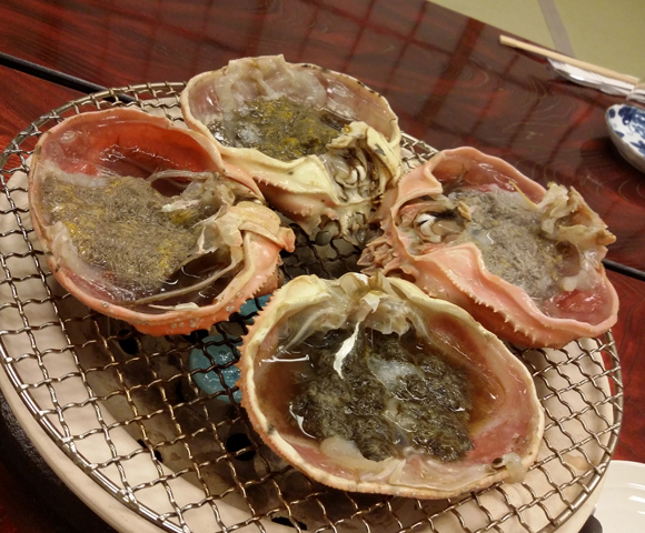 20151123no20