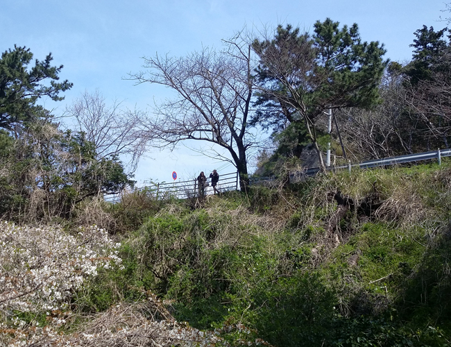 201600328no72