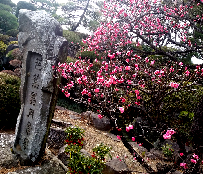 20160118no22