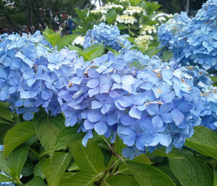 20160620no1