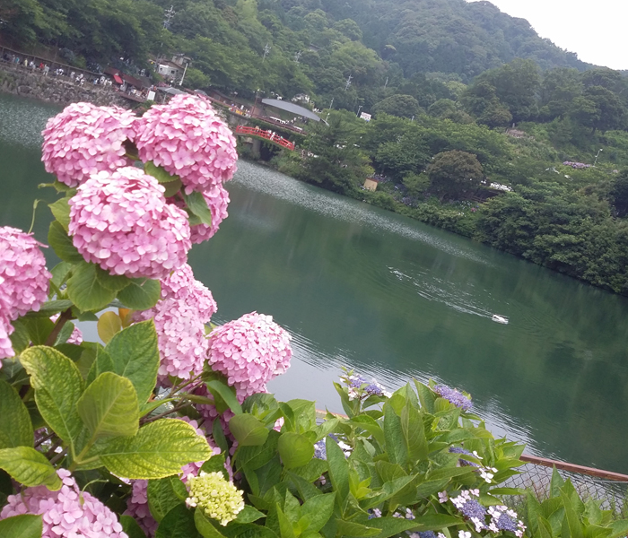 20160620no15