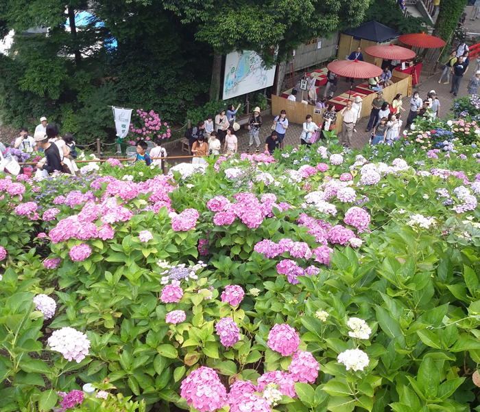 20160620no2